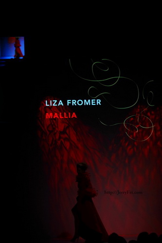 The Heart Truth Fashion Show 2012 - Model: Liza Fromer, Designer: Mallia